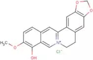 Berberrubine chloride