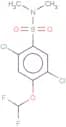 2,5-dichloro-4-(difluoromethoxy)-N,N-dimethylbenzene-1-sulfonamide