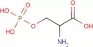 DL-O-Phosphoserine