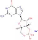 GUANOSINE 3':5'-CYCLIC MONOPHOSPHATE SOD
