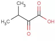 3-Methyl-2-oxobutanoic acid