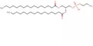 1,2-Dipalmitoyl-sn-glycero-3-phosphoethanolamine