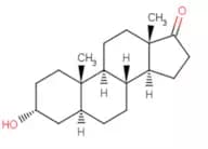 Androsterone