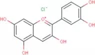 Cyanidin Chloride