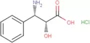 (2R,3S)-3-Phenylisoserine hydrochloride