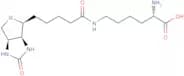 Biocytin