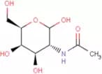 N-Acetyl-D-galactosamine