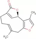 Linderalactone