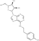 N6-(p-Hydroxyphenethyl)-Adenosine)