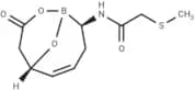 β-Lactamase-IN-8