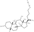 Antileishmanial agent-10