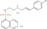 H-89 dihydrochloride