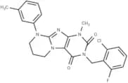 KRAS G12C inhibitor 29