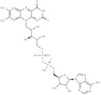 Flavin adenine dinucleotide