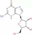 Guanosine