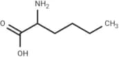2-Aminohexanoic acid