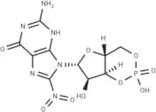 8-Nitro-cGMP