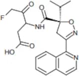 Nivocasan Intermediate