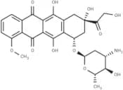 Epirubicin