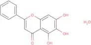 Baicalein monohydrate