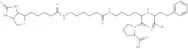 Lisinopril, ε-biotinamidocaproyl-