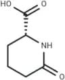 D-Pyrohomoglutamic Acid