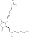 5-trans-Prostaglandin E2
