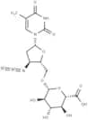 Zidovudine glucuronide