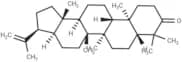3-Oxo-hop-22(29)-ene