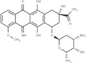 5-Iminodaunorubicin