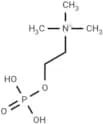 Phosphorylcholine