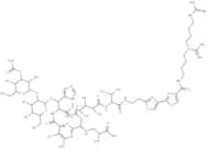 Bleomycin B4