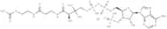 Acetyl coenzyme A lithium