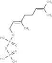 Geranyl diphosphate