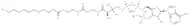 Lauroyl coenzyme A lithium
