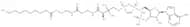 Decanoyl coenzyme A