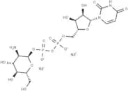 UDP-glucosamine disodium