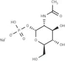 N-Acetyl-α-D-glucosamine 1-phosphate disodium