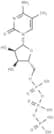 5-Methylcytidine 5′-triphosphate