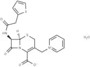 Cephaloridine hydrate