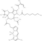 BODIPY FL Thapsigargin