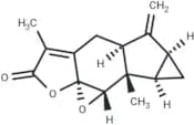 Chloranthalactone B