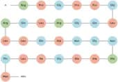 Orexin B, rat, mouse TFA