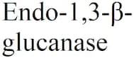 Endo-1,3-β-glucanase