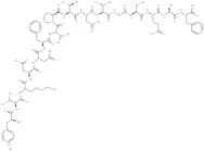 [Tyr22] Calcitonin Gene Related Peptide, (22-37), rat