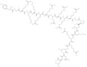 Cdk2/Cyclin Inhibitory Peptide II