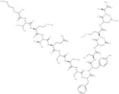 Neurokinin Receptor (393-407), rat