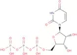 Uridine triphosphate