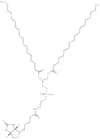 DSPE-Biotin