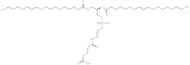 DSPE-glutaric acid